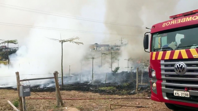 Bombeiros combatem incêndio nas margens da BR-277, em Cascavel