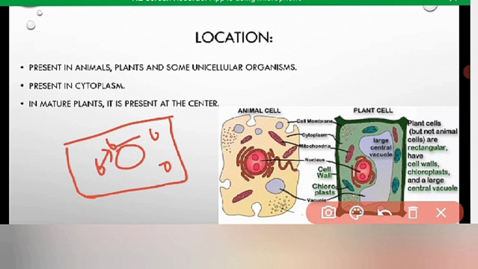 Vacuoles 9 class Biology in Urdu \ in Hindi | cell organelles| Lec #15 | chp #4 | cells and tissues