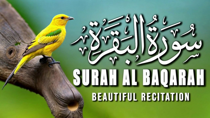 Surah Al-Baqarah Full | Relaxing Beautiful Recitation | سورة البقره | Tilawat E Quran| AL Quran