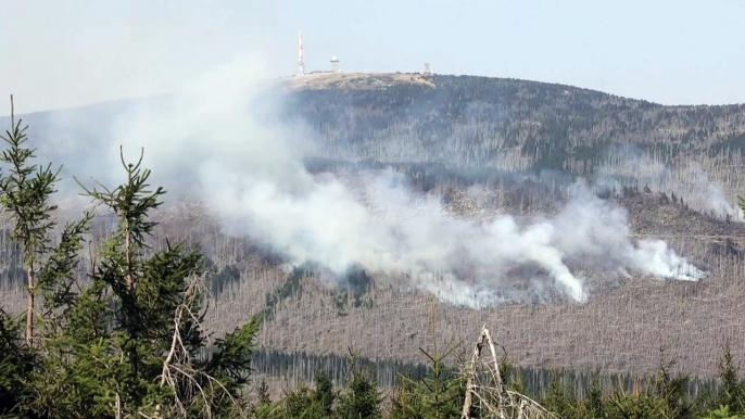 Großfeuer am Brocken: 250 Brandbekämpfer und Flugzeuge im Einsatz