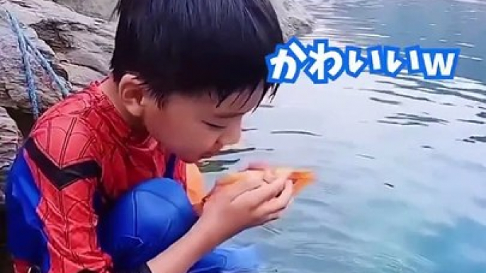 Instagramで91億回バズった動物ハプニング動画10選 | 10 Animal Happenings Videos That Got 910 Million Buzz on Instagram