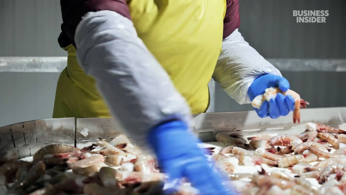 Why Louisiana's $1.3 billion shrimp industry could go extinct