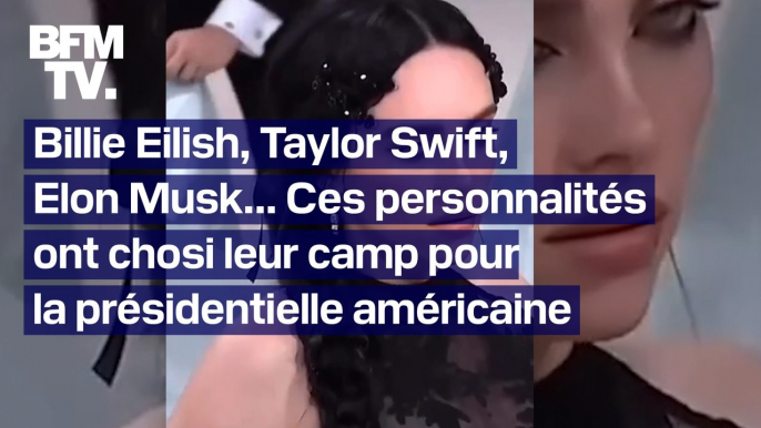 Billie Eilish, Taylor Swift, Elon Musk… Ces personnalités ont choisi leur camp pour la présidentielle américaine