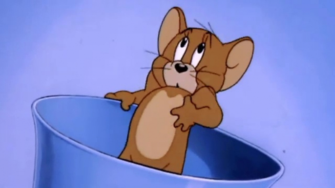 Tom and jerry ! cartoon video ! Tom and jerry fanny comedy