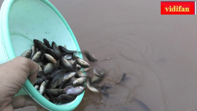 Release fish - मछली छोड़ो - 魚を放す - relâcher le poisson - Solte peixe - liberar peces - rilasciare i pesci - الافراج عن الأسماك - udsætte fisk - balıq buraxın -