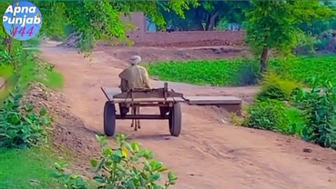 Pind da Purana culture bohat he khoobsurat view Sanjah punjab routine work in village very unique and simple life mud houses in village