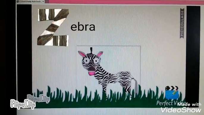 Z is for Zebra (2018)