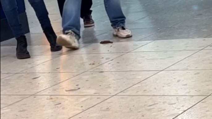 Glasgow Airport travelers forced to watch their step after someone leaves their poo on the floor