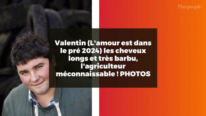 Valentin (L'amour est dans le pré 2024) les cheveux longs et très barbu, l'agriculteur méconnaissable ! PHOTOS