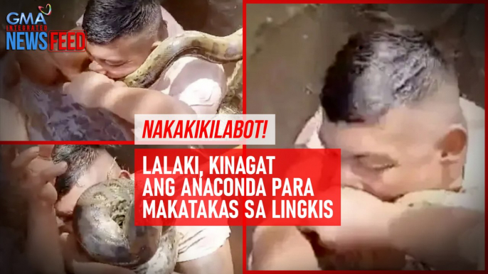 Nakakakilabot! Lalaki kinagat ang anaconda para makatakas sa lingkis | GMA Integrated Newsfeed