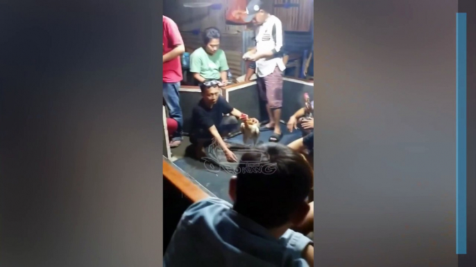 Momen Ngakak Polisi Menggrebek Warga yang Sedang Sabung Ayam Sampe Lari Terbirit-birit