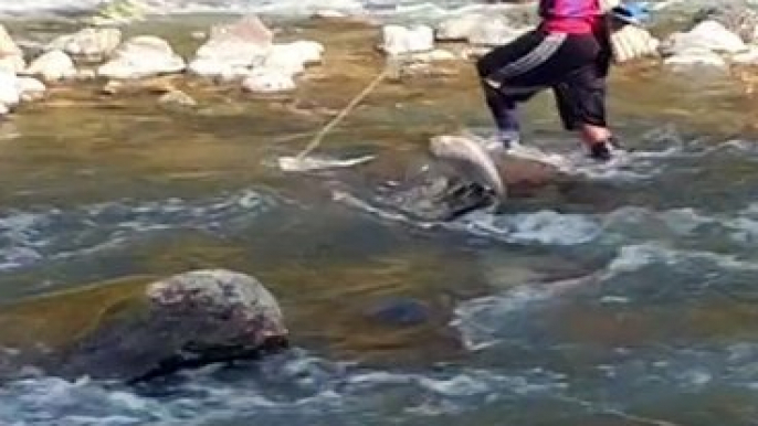 Cast Net Fishing in Nepal | Himalayan Trout Fishing in Nepal | Asala fishing |