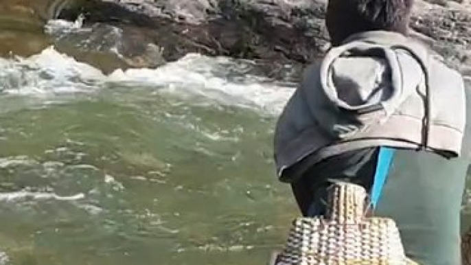 Cast Net Fishing in Nepal | Himalayan Trout Fishing in Nepal | Cast Netting |