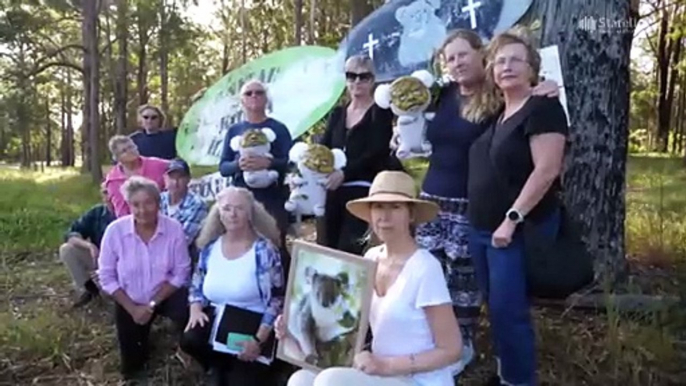 Koala habitat to be redeveloped into retirement village in NSW mid-north coast