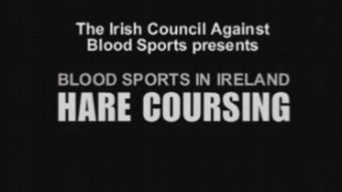 Hare Coursing Cruelty - Blood Sports in Ireland