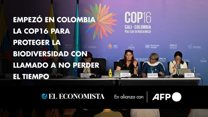 Empezó en Colombia la COP16 para proteger la biodiversidad con llamado a no perder el tiempo