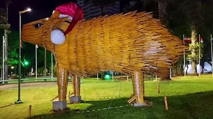 Decoração do Natal dos Pioneiros já está quase pronta