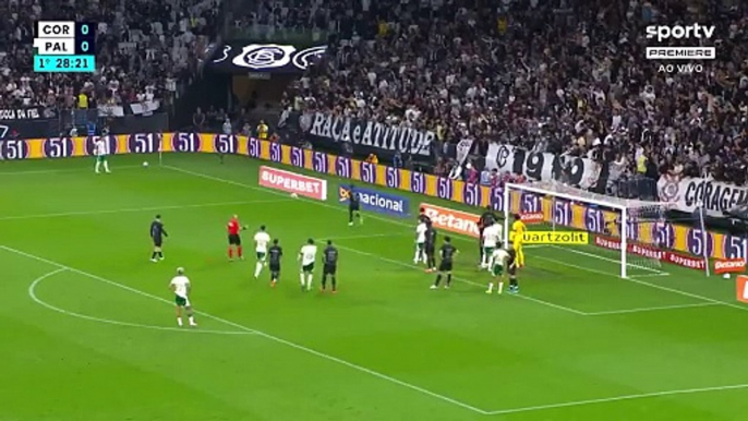 Torcida do Corinthians arremessa cabeça de porco no gramado