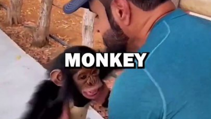 Monkey and Human Bond! #animalstories #pets #cuteanimals #cuteanimals #pets #monkey #animalrescue