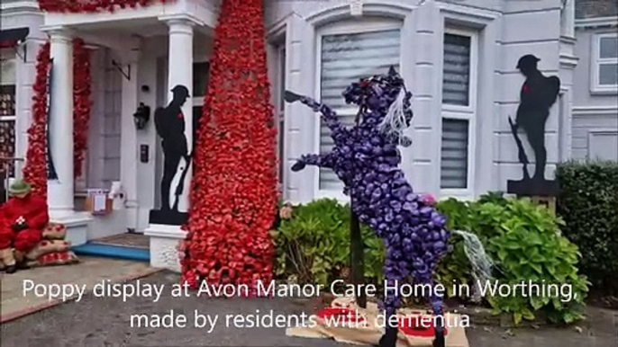 See the spectacular poppy display at Avon Manor Care Home in Worthing, made by residents with dementia