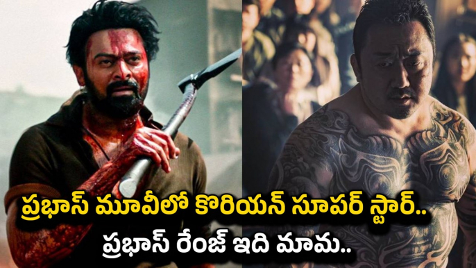 Prabhas సినిమాలో Korean Super Star Don Lee..? ప్రభాస్ ఫ్యాన్స్ రచ్చ..| Filmibeat Telugu