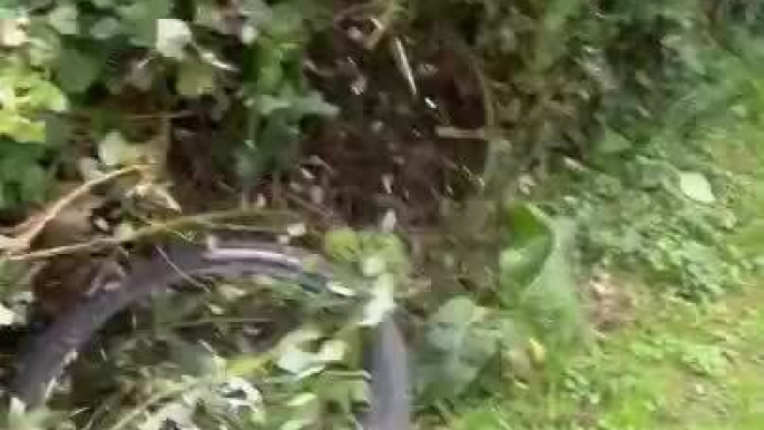 Boy Crashes Mountain Bike Into Hedge After Failed Jump off Ramp