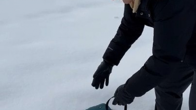 Dog's First Experience of Foot-high Snow