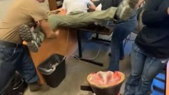 Man Falls Backwards While Demonstrating Dissection of Horse Hoof