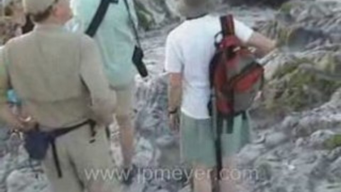 Galapagos Islands travel: What a group of marine iguanas!