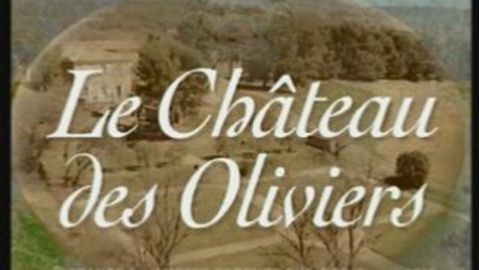 Le Château des Oliviers