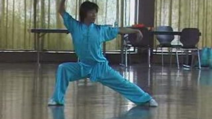 Wushu Chang Quan par Songtao Han