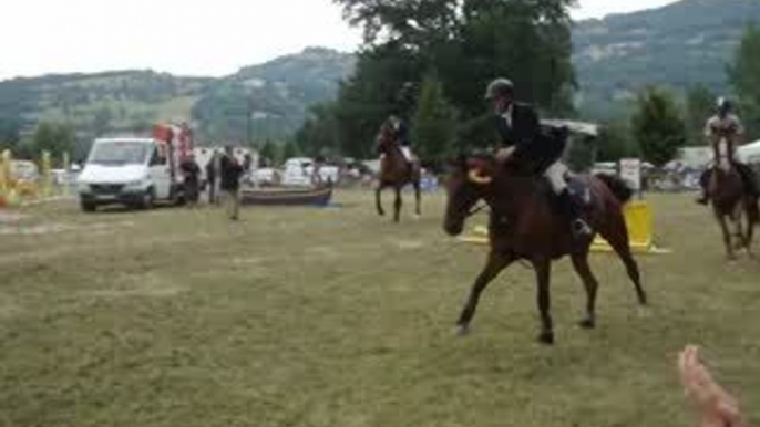 final concours hippique national de sauts d'obstacles