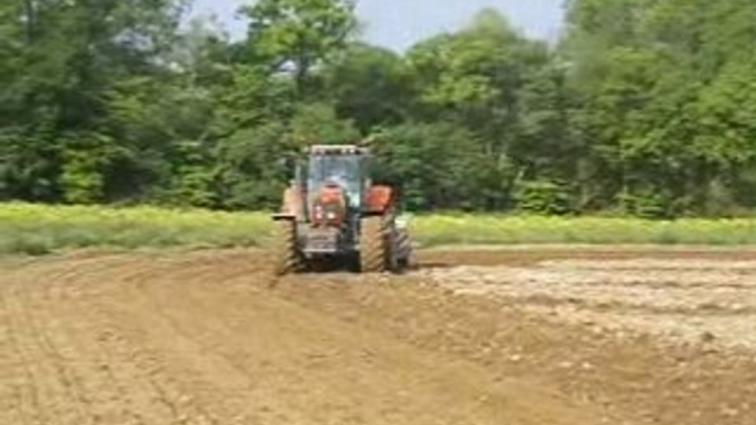 Massey ferguson 7495 dans les semis de mais 2008