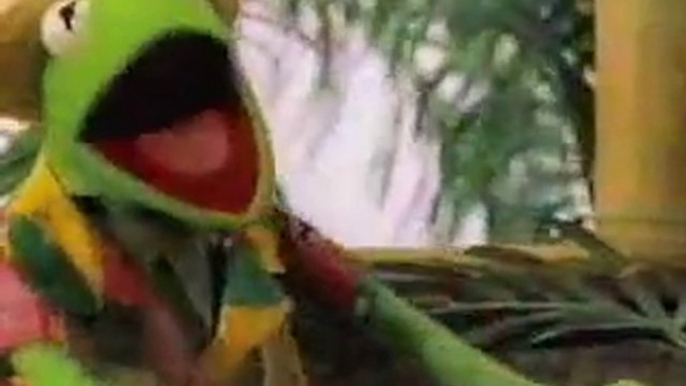 Kermit la Grenouille en mode Jamaïcain - Caribbean Amphibian