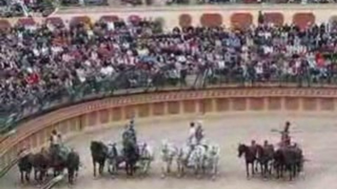 Les Epesses : Puy du Fou