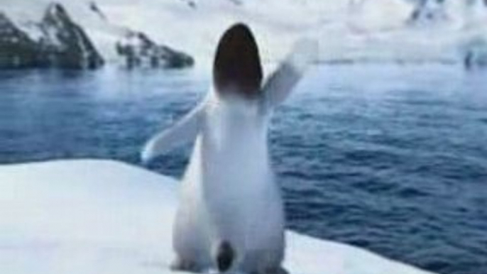 Happy Feet Macarena Move