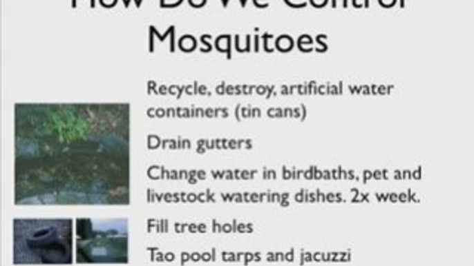 Natural Mosquito Repellent - How To Keep Mosquitoes Away