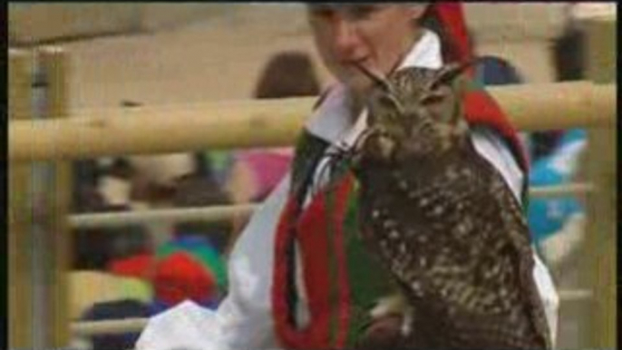 Puy du Fou - Le Bal des Oiseaux Fantômes