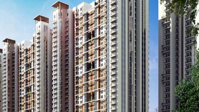 Jaypee Greens The Orchards Resale Noida 9910003686