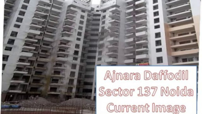 Ajnara Daffodil Resale Price Sector 137 Noida 9910002840