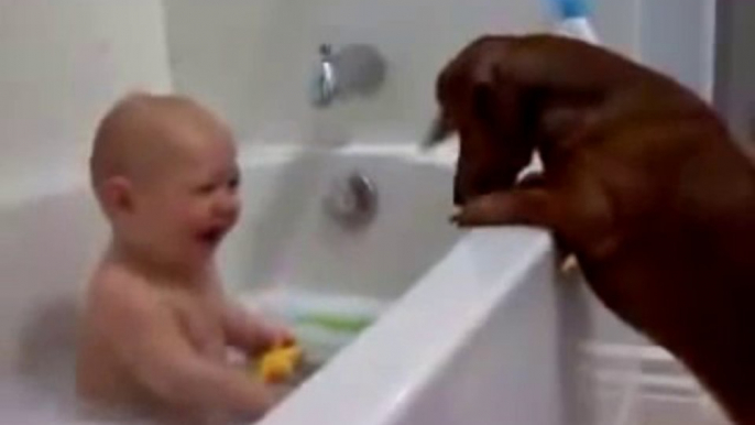 C'est l'heure du bain pour un bébé et 2 chiens trop mignons! Que du bonheur!