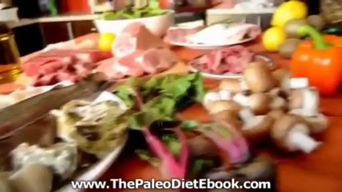 Paleo Diet Recipes Paleo Cookbook Over 370 Paleo Recipes