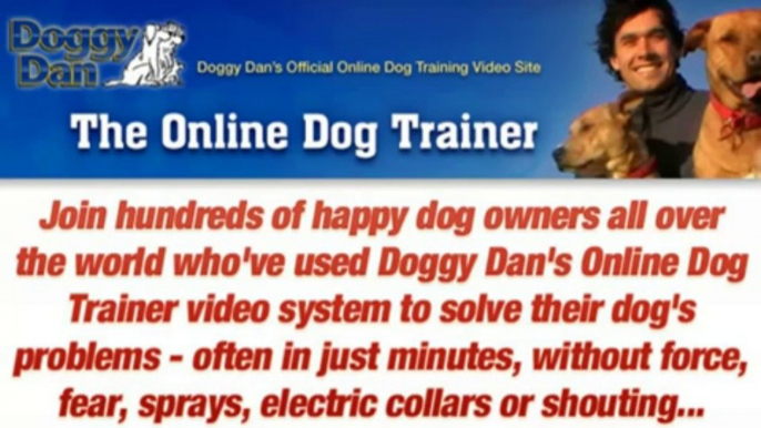 Dog Obedience Train - The Online Dog Trainer