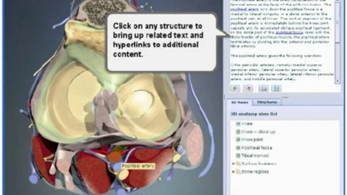 Interactive Knee - 3d Interactive Human Anatomy New 2009!