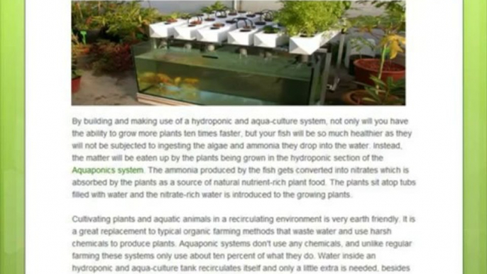 Aquaponics 4 You - Step by Step - How to build your own aquaponics system