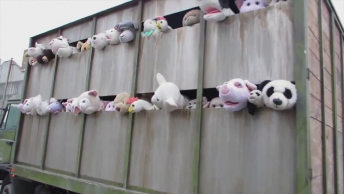 Un camion plein de peluches d'animaux pour protester !!