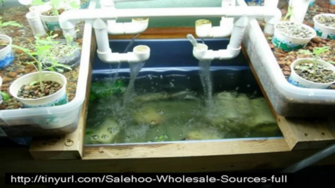 don't buy easy diy aquaponics before watch this video