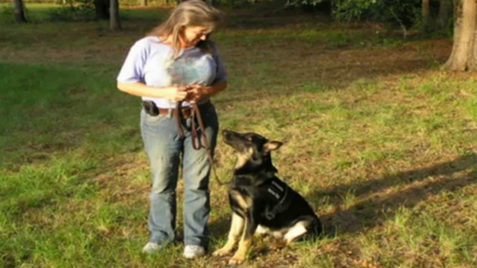 Training Leash - The Online Dog Trainer