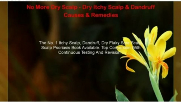 No More Dry Scalp - Dry Itchy Scalp & Dandruff Causes & Remedies