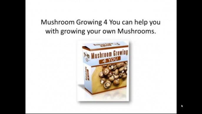 Mushroom Growing at Home - Mushroom Growing 4 You review